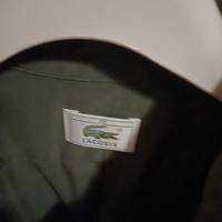 camicia Lacoste uomo originale 
