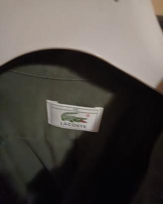 camicia Lacoste uomo originale 
