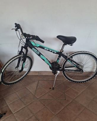 BICICLETTA MOUNTAIN BIKE