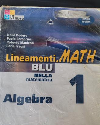 Lineamenti math blu 