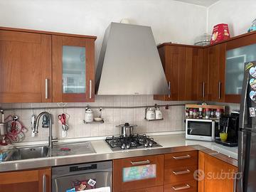 Cucina italiana gatto