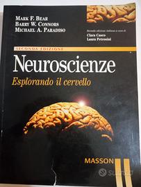 Neuroscienze Esplorando il cervello