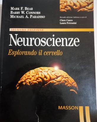 Neuroscienze Esplorando il cervello