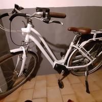 Bici elettrica