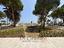 Immagine 7