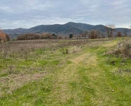 Terreno agricolo e bosco