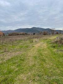 Terreno agricolo e bosco