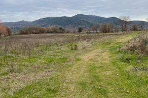 Terreno agricolo e bosco