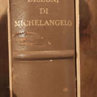Disegni di Michelangelo 103 disegni in facsimile