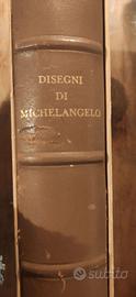 Disegni di Michelangelo 103 disegni in facsimile