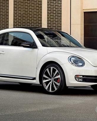 Ricambi Volkswagen Beetle maggiolino