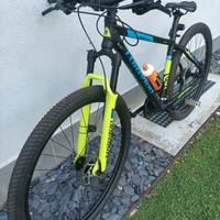 Torpado MTB 29