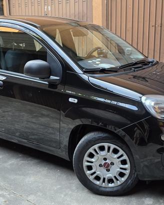 Fiat Panda 1,2 Easy serie 3 S&S 69 CV