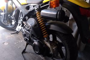 Suzuki Altro modello