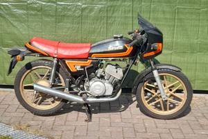 benelli 125 sport