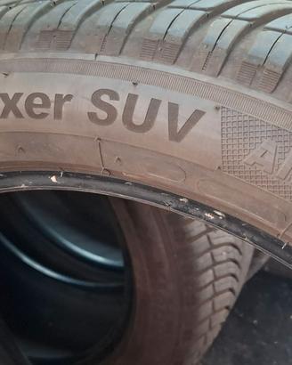 Gomme