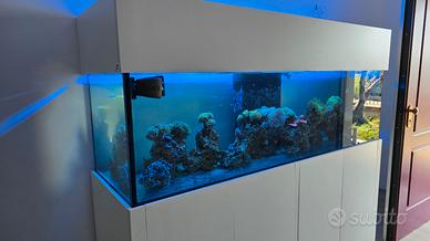 ACQUARIO 