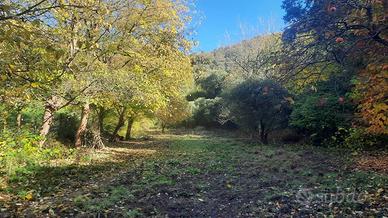 Rustico / Casale di 40120 m² con 4 locali a Baone