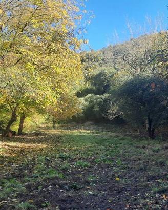Rustico / Casale di 40120 m² con 4 locali a Baone