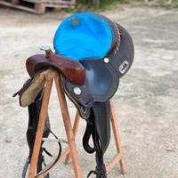 Sella Pool's  Barrel 5020