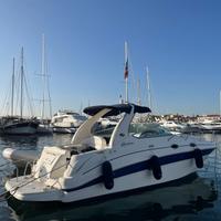 SeaRay 315 Sundancer