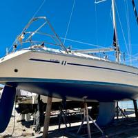 Bavaria 41 exclusive