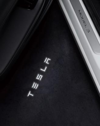 luci led logo tesla
