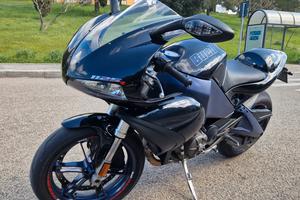 buell 1125 