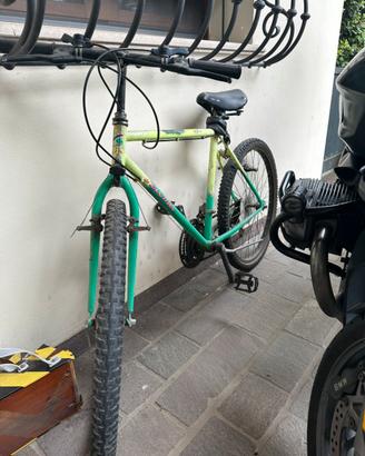 Bicicletta