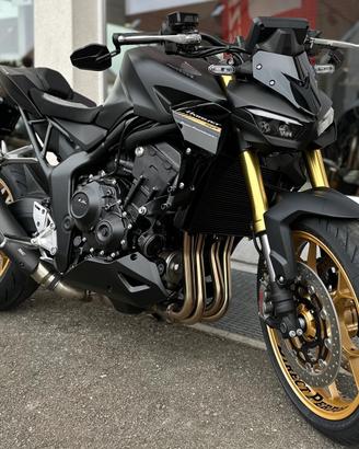 Hornet 1000sp