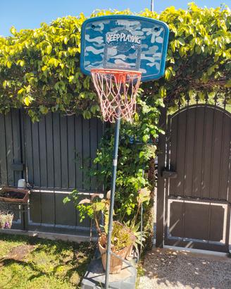 sport basket 