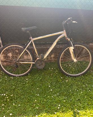 Bicicletta