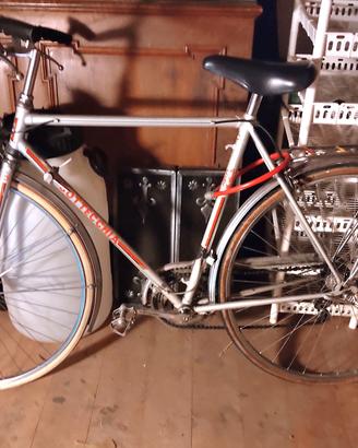 Bottecchia bicicletta 1980