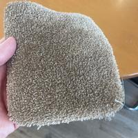 Moquette