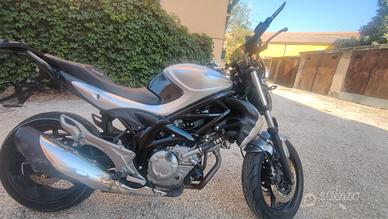 Suzuki sfv 650 gladius 