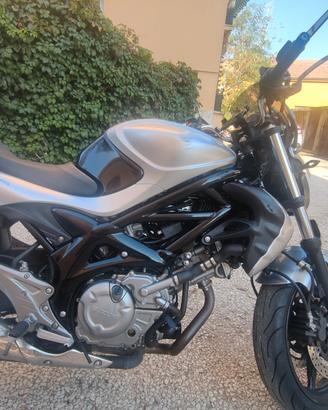 Suzuki sfv 650 gladius 