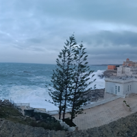 Aiutocuoco /lavapiatti con esperienza