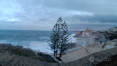 Aiutocuoco /lavapiatti con esperienza