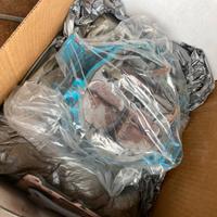 Carburatore USATO motore marino V8 benzina