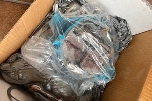 Carburatore USATO motore marino V8 benzina