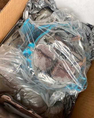 Carburatore USATO motore marino V8 benzina