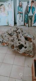 Splendido Monolito / Roccia Forata Naturale