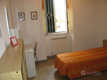 Gemelli ,pineta sacchetti torrevecchia