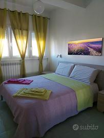 Appartamento 65 mq Olbia