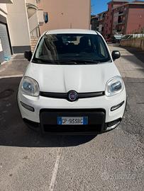 Fiat Panda Hybrid anno 2023