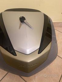 Bauletto sh 300