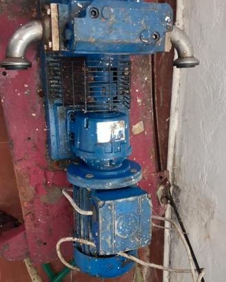Pompa industriale per olio extravergine di oliva