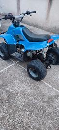 quad loncin 