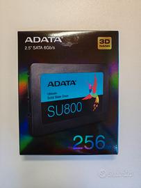 Adata SU800 Sata SSD 256 GB - NUOVO
