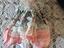 Immagine 3